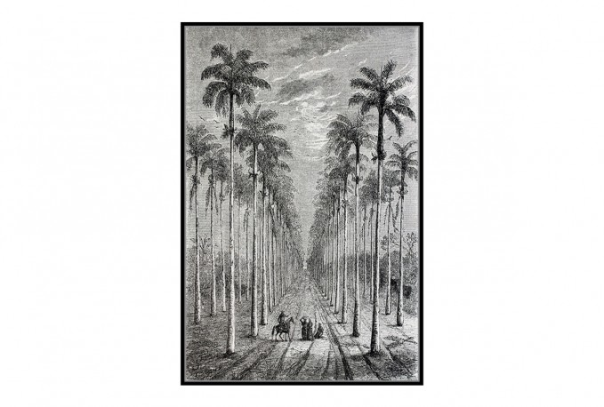 ALLEY - 82.6 x 122.6 cm tavla i svart/vitt