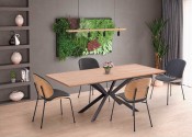 LEGARTO extendable table top - natural oak, leg - black
