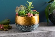 Decorative bowl Orient 18cm gold with patina
