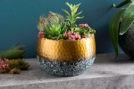 Decorative bowl Orient 18cm gold with patina