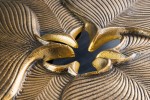 PHI - 55 cm soffbord i guld/svart