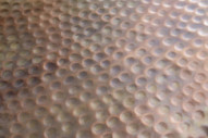 NOVA - 80CM SOFFBORD
