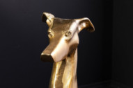 GULD FLYGANDE HUND