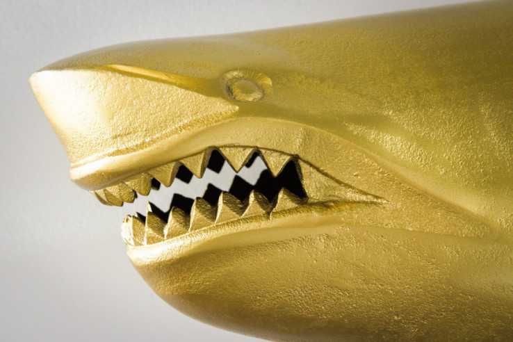 AURIGA - 105CM VÄGGDEKORATION