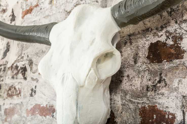  ALUMINIUM SKULL VIT/SVART