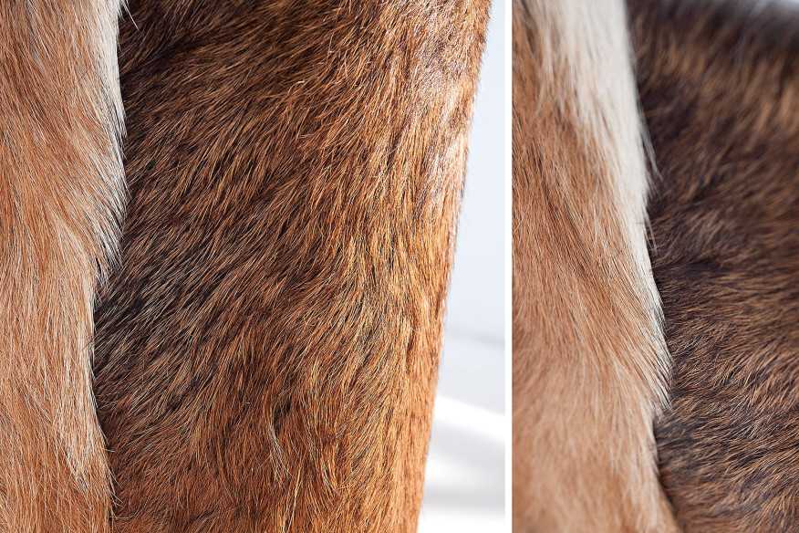 LUNA - 35CM TIDNINGSHÅLLARE